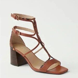Ann Taylor Neveah Heels Snake Print Trim Block Heels Size 5.5